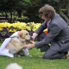 thumbs il se marie avec un chien 001 Il se marie avec un Chien ! (17 photos)