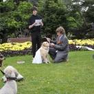 thumbs il se marie avec un chien 017 Il se marie avec un Chien ! (17 photos)
