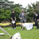 thumbs il se marie avec un chien 010 Il se marie avec un Chien ! (17 photos)