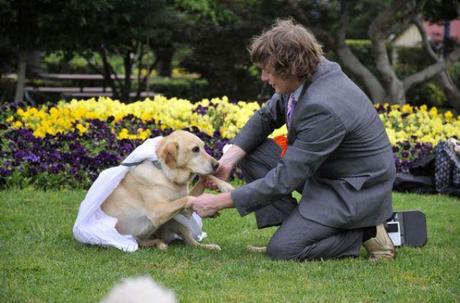 il se marie avec un chien 001 Il se marie avec un Chien ! (17 photos)