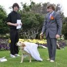 thumbs il se marie avec un chien 015 Il se marie avec un Chien ! (17 photos)