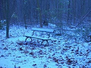 Vincennes sous la neige