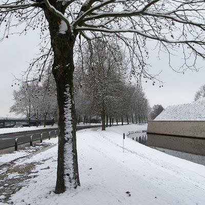 De la poudre sur les remparts