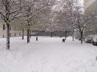 TEMPÊTE DE NEIGE...