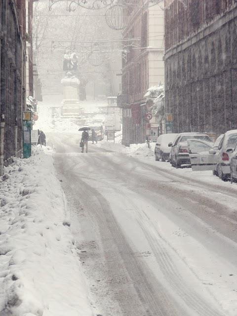 TEMPÊTE DE NEIGE...