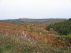 Vacances de rêve monedieres1.jpg