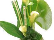 Flowers" adhérent Interflora Bordeaux