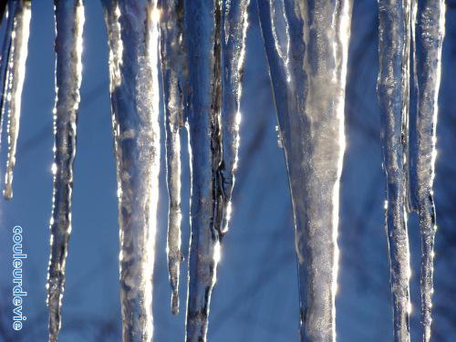 Un tag, deux tags, trois photos !