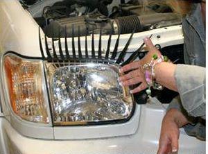 Des faux-cils pour votre voiture