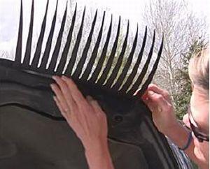 Des faux-cils pour votre voiture