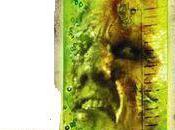 Quizz N°20: Trouvez titre film