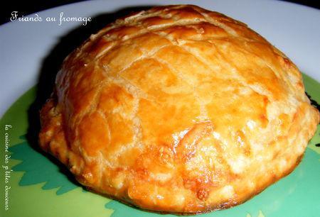 Friands au fromage DSCF8292