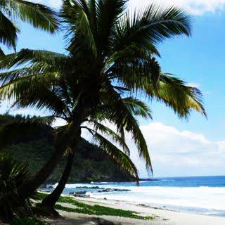 La Réunion, une île au cœur de l’océan Indien La Réunion, une île au cœur de l’océan Indien