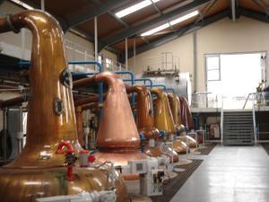 distillerie.jpg