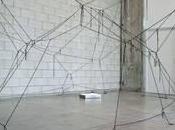 Nous notons fleurs, géographe