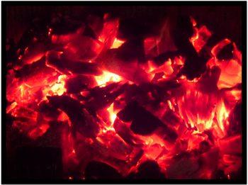 Du bois pour chauffer l’hôpital