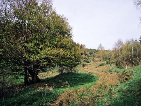 La Vallée du Lot, terre nourricière en Lozère.