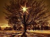 autres... avec Joshin Luce Bachoux