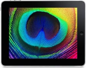iPad 2 : pas d’écran AMOLED