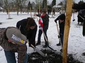 Plantation arbres fruitiers parc Jean Ferrat