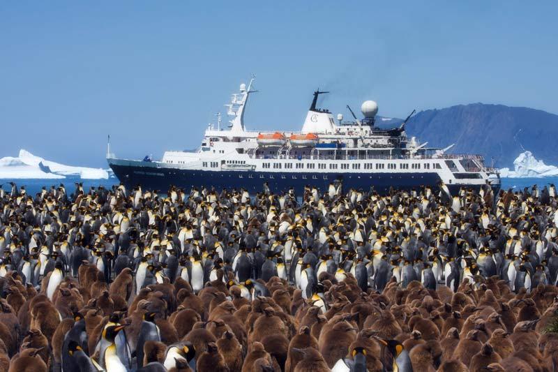 Lundi 30 novembre, des milliers de manchots regardent passer un bateau de croisière qui sillonne les mers entre les îles Falklands, la Géorgie du Sud et la péninsule Antarctique. 