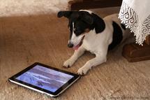 Apple baisse les prix sur les iPad reconditionnés de 70 $ jusqu'à 100 $...