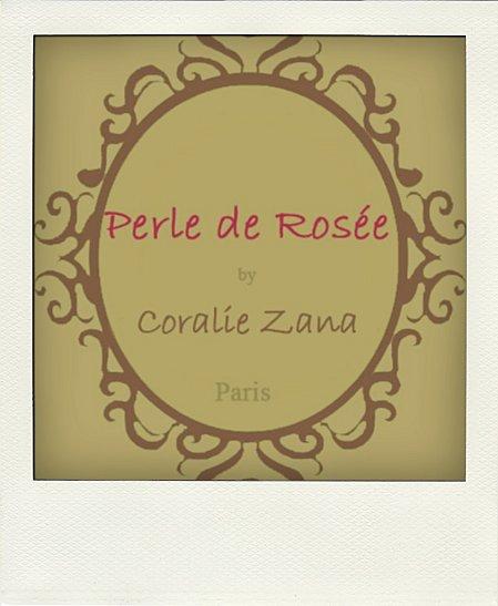 Logo-Perle-de-Rose--300-pola.jpg