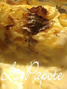 Gratin_dauphinois_2