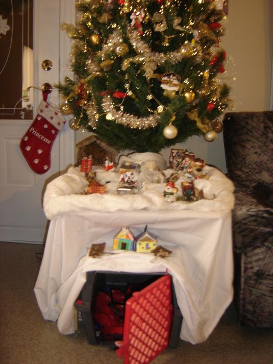 Un intrus dans,,,mon sapin!!!