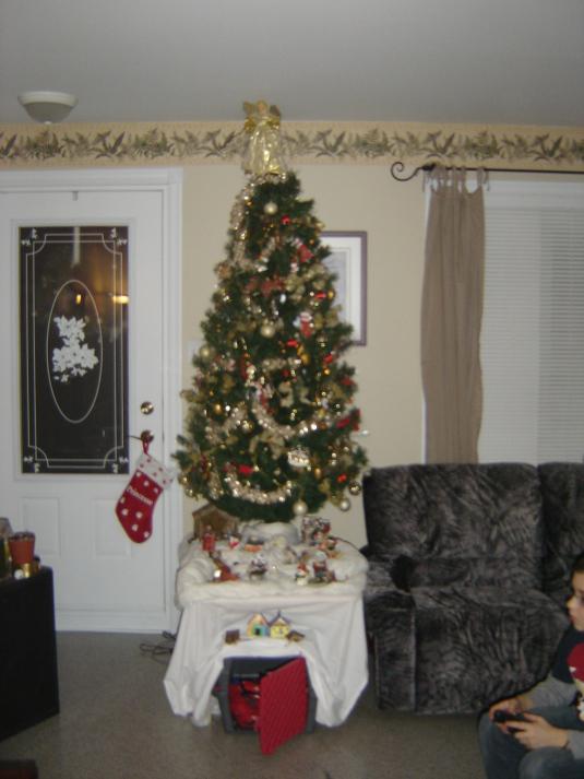 Un intrus dans,,,mon sapin!!!