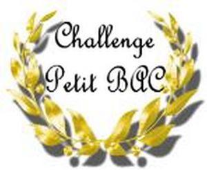 challenge-petit-BAC_p.jpg