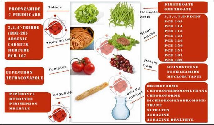 Une association alerte sur les substances chimiques contenues dans les repas des enfants