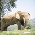 Lisez mon interview sur Seen the Elephant !