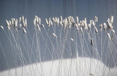 Blanc comme de la neige