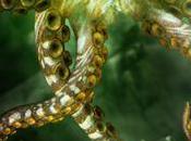 Sturmwind nouveau shoot’em pour Dreamcast