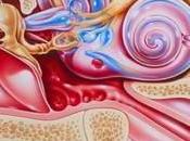 Acouphènes, prise charge enfin efficace