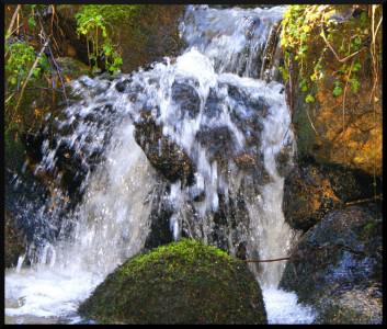 Un p’tit rafraichissement !