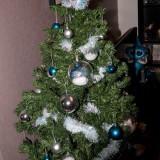 Shadonia Christmas Tree 2010