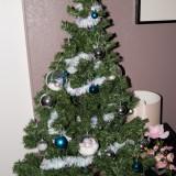Shadonia Christmas Tree 2010