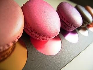 L'Atelier Macarons L'Atelier Macarons