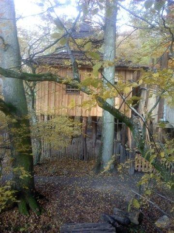 Cabane au Parc Animalier de Sainte-Croix