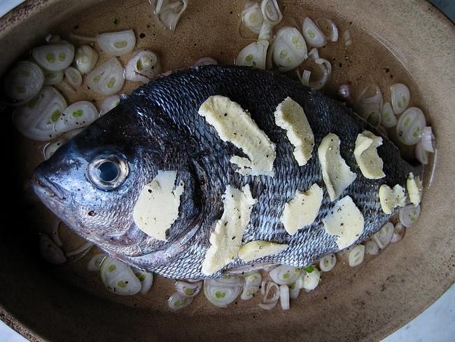 Poisson bleu (Jean-Baptiste Besnard)