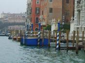 Douces lumieres d'hiver