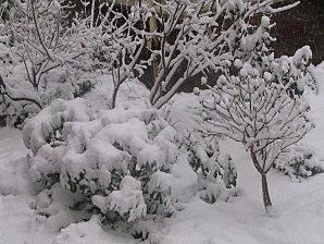 snowing2-003.JPG