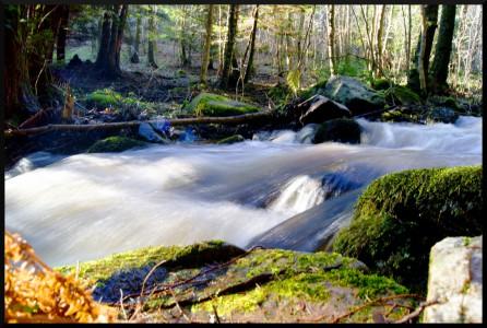 Au fil de l’eau