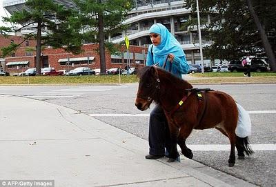 Un cheval d'aveugle pour une étudiante musulmane