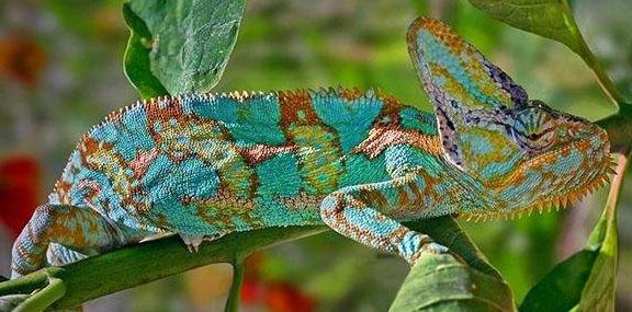 Le tueur est un poète