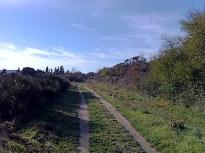 DImanche matin froid et venteux... (pas de politique aujourd'hui, non...)