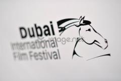 Dubai Horses pîx.jpg