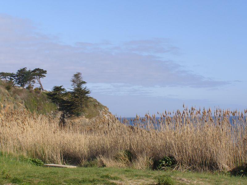 Réflexions (Jean-Baptiste Besnard)